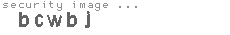 security image