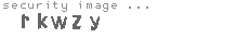 security image