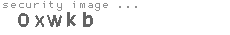 security image
