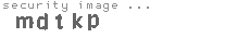 security image