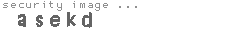 security image