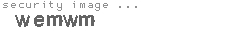 security image