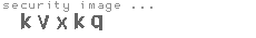 security image