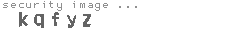 security image