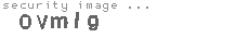 security image