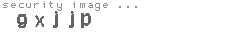 security image