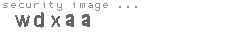security image