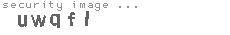 security image