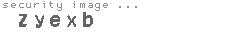 security image