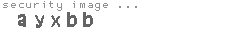security image