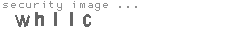 security image