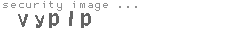 security image