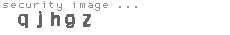 security image