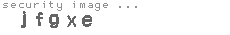 security image