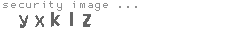 security image