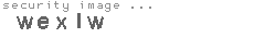 security image