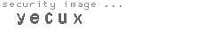 security image