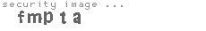 security image