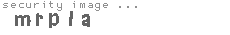 security image