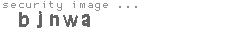 security image