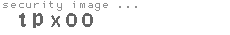 security image