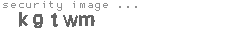 security image