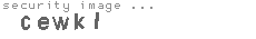 security image