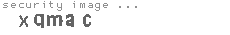 security image