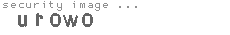 security image