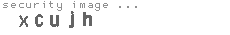 security image