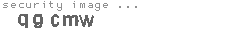 security image