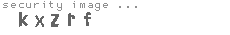 security image
