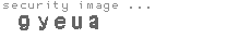 security image