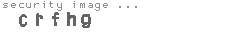security image