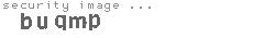 security image