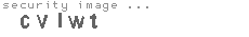 security image