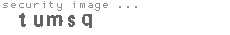 security image