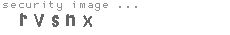 security image