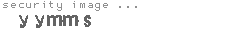 security image