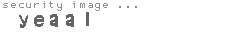 security image