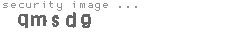 security image