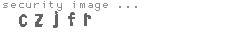 security image