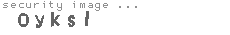 security image