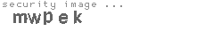 security image