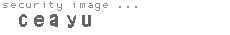 security image