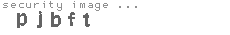security image