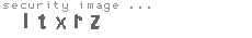 security image