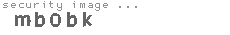 security image