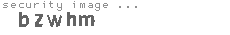 security image