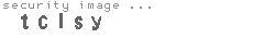 security image